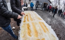 Hot maple syrup poured in stripes down a long trough of snow at a Quebec sugar shack, with one stripe being wound onto a wooden stick.
