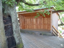 A timber dance floor and musicians' stage built into the branches of the Limmersdorf dance linden, the trunk rising through the platform.