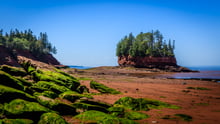 Red seabed exposed at low tide with green seaweed on the rocks and a small wooded island of red rock under a blue sky