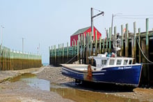 A blue and white lobster boat resting on mud beside tall wharf pilings, a red shed behind, the harbour drained