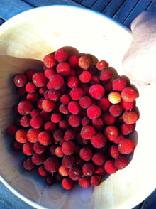 A wooden bowl filled with round, bumpy red fruits on a blue table in bright sunlight.