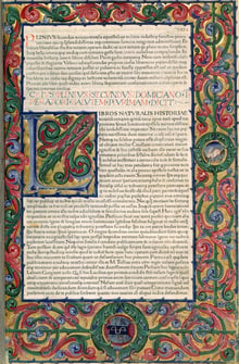 A printed Latin page framed by a gold vine border, with a large decorated initial and two painted roundels at the foot.