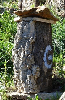 A tall cylinder of rough grey cork bark standing on a stone slab in grass, capped with a thin board and a flat stone, a white letter painted on its side.