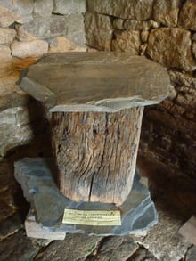 A thick bark-covered hollow log standing on a slate base and capped with a large flat stone, against a dry-stone wall, with a small museum label at its foot.
