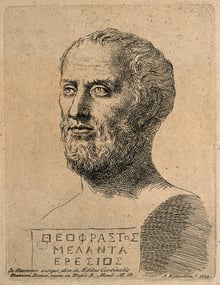 A sepia etching of a bearded marble bust on an inscribed base, the name Theophrastos cut in Greek capitals.