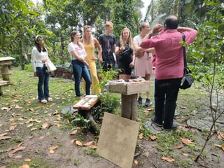 Made with a group looking at a bee hive.