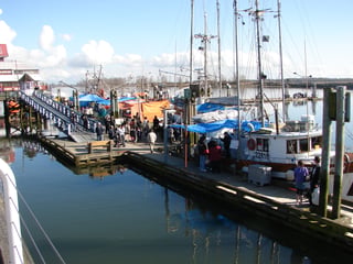People queueing along a wooden dock beside moored fishing boats under tarpaulins.