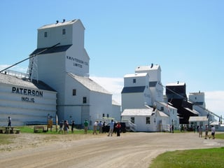Five tall white and dark wooden grain elevators in a receding row beside a gravel track under a clear sky, the nearest lettered PATERSON INGLIS, with a group of visitors walking between them.