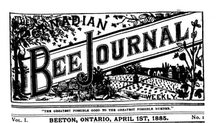 An engraved newspaper masthead reading The Canadian Bee Journal, Weekly, above a motto and the dateline Beeton, Ontario, April 1st, 1885.