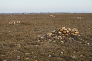 A flat stony plain carpeted to the horizon in round grey cobbles, with low cairns receding into the distance under an open sky.