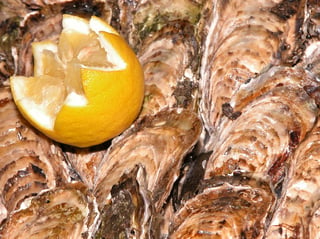 A dozen unopened oysters packed shell to shell, long and deep-cupped, grey-brown with green staining and sharp growth rings, a cut lemon at one corner.