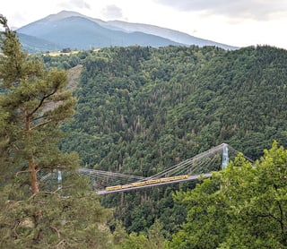 A small yellow and red metre-gauge train crossing a suspension bridge high above a wooded gorge, the bridge cables and towers clearly visible.