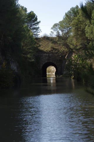 The stone portal of a canal tunnel with the water running into the dark vault, a towpath along the left bank and vegetation above the arch.