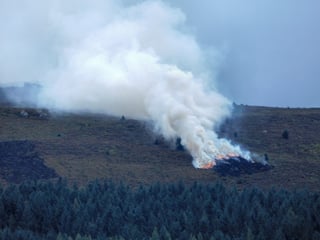 A low line of flame running through heather on a moor, a white smoke column blowing off, with blackened ground beside it.