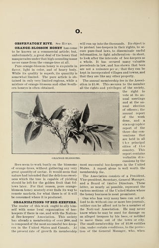 A scanned book page in two columns headed with the letter O, with a halftone photograph of an orange-blossom sprig captioned Orange-blossoms.