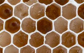 Close view of honeycomb cells filled with opaque tan-brown set honey between pale wax walls.