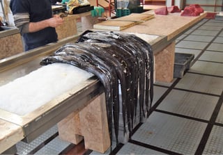 A bundle of long, black, glossy fish draped over crushed ice on a marble counter, their tails hanging down to a tiled floor; a fishmonger in a dark top behind, and red tuna loins on the next counter.