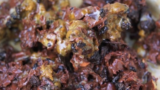 Sugarbag--The contents of a Stingless Bee hive including, honey, cerumen and larvae.