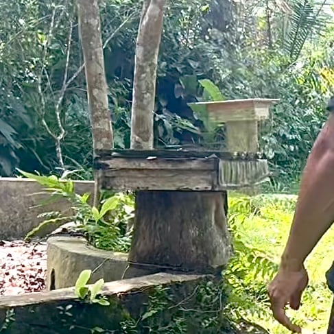 A stingless beehive box on a hollow log base.
