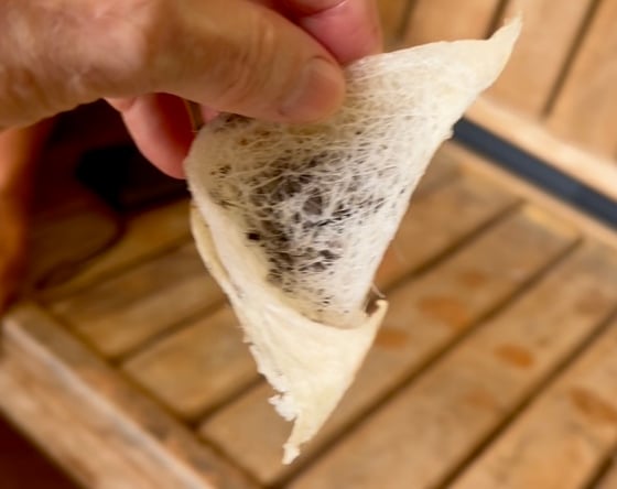 A swallow nest yellowish white and delicate. Held in a hand.