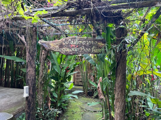 A green tropical scene with a path and wooden entrance and bee farm sign with painted and carved letters.