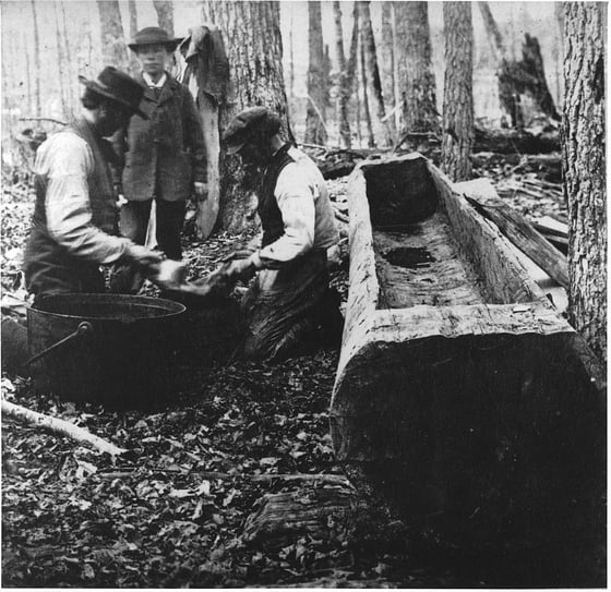 Three men in a bare maple wood beside a long trough hollowed from a tree trunk, one pouring sap through a cloth held by another, a large iron cauldron on the ground.