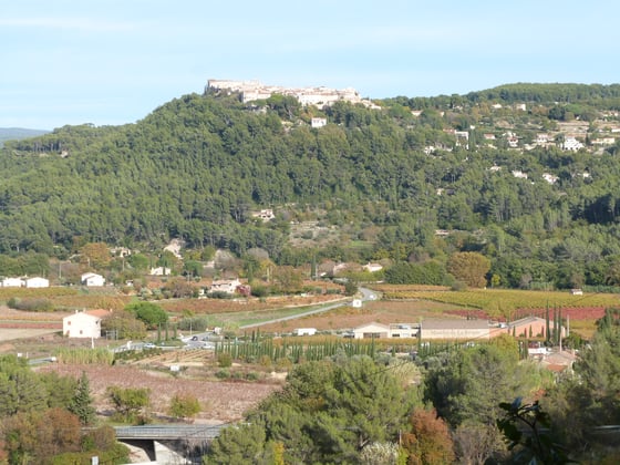 A hilltop village crowning a pine-covered hill, with red and gold vineyards on the plain below.