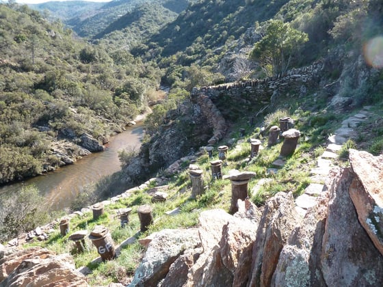 About twenty cylindrical cork hives stand in rows on a steep slope of red rock and grass above a river, with wooded hills behind.