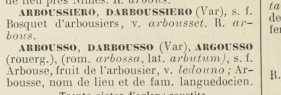 Two printed dictionary entries in French: ARBOUSSIERO, DARBOUSSIERO (Var), a grove of strawberry trees, and ARBOUSSO, DARBOUSSO (Var), the fruit of the strawberry tree.