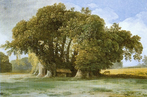 A painting of a vast chestnut tree, one low dome of leaves spread over a row of pale fluted trunks, a small tiled shelter beneath and open golden ground to the right.
