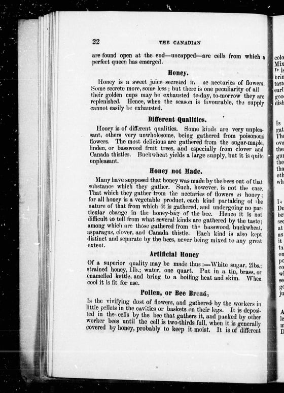 A printed book page with the headings Honey, Different Qualities and Honey not Made.
