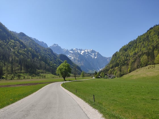 A valley road between green meadows and forested slopes, running toward a wall of snow-streaked grey peaks.
