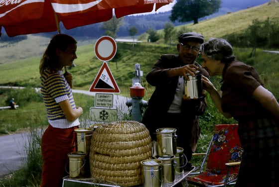 A young woman in a striped top stands by a folding table on a grass verge, a domed straw basket and metal pails on it; across the table an older man in a flat cap tilts an open pail toward an older woman who leans in, a red parasol above them and a hillside of trees behind.