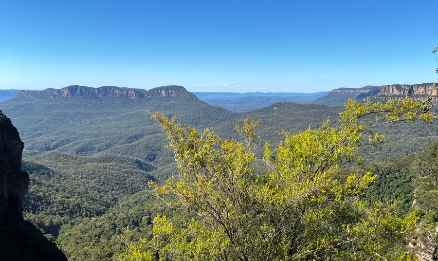 Wide view of tree covered mountains.