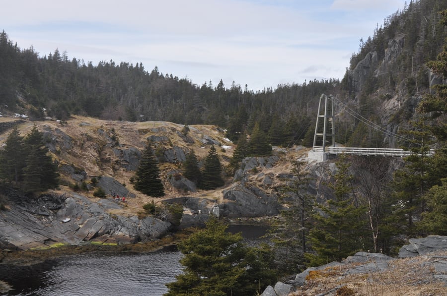 A white suspension footbridge spanning a rocky cove between spruce-covered headlands.
