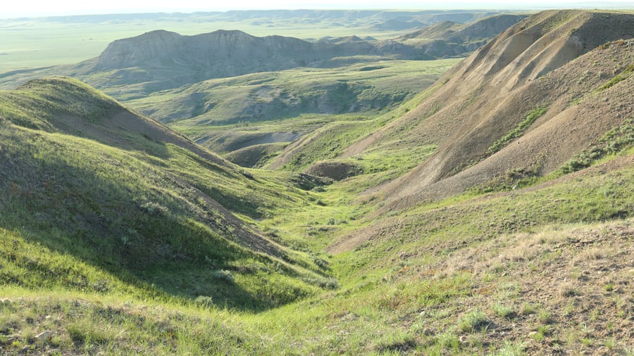 Green grassy slopes and a bare tan cut-bank in the foreground, a flat-topped grey butte and rounded badland hills beyond, and a pale flat plain on the far horizon under an evening sky.