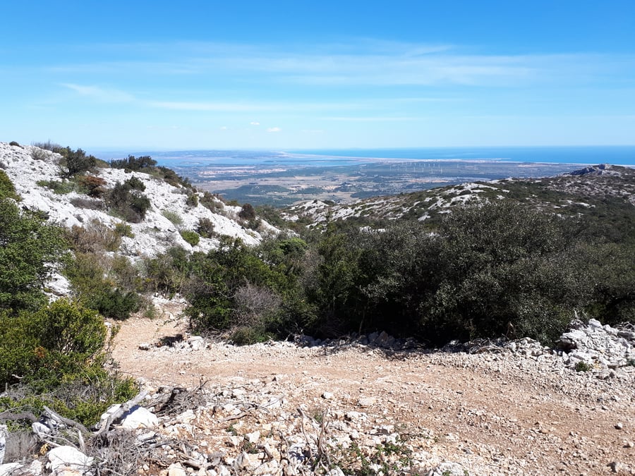 A white limestone crest with low evergreen scrub growing out of bare rock, the ground falling away to coastal lagoons and the sea under a cloudless midday sky.