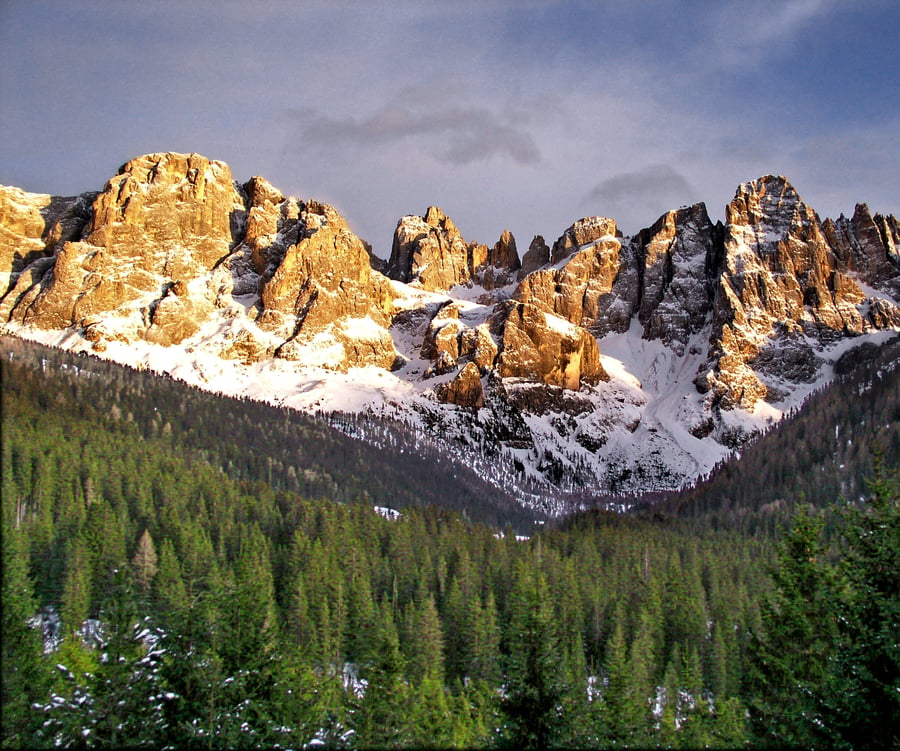 Jagged pale rock peaks lit orange by low sun, snow in their gullies, a dark conifer canopy filling the foreground.