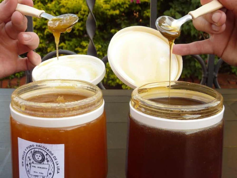 Tasting Parana Honey